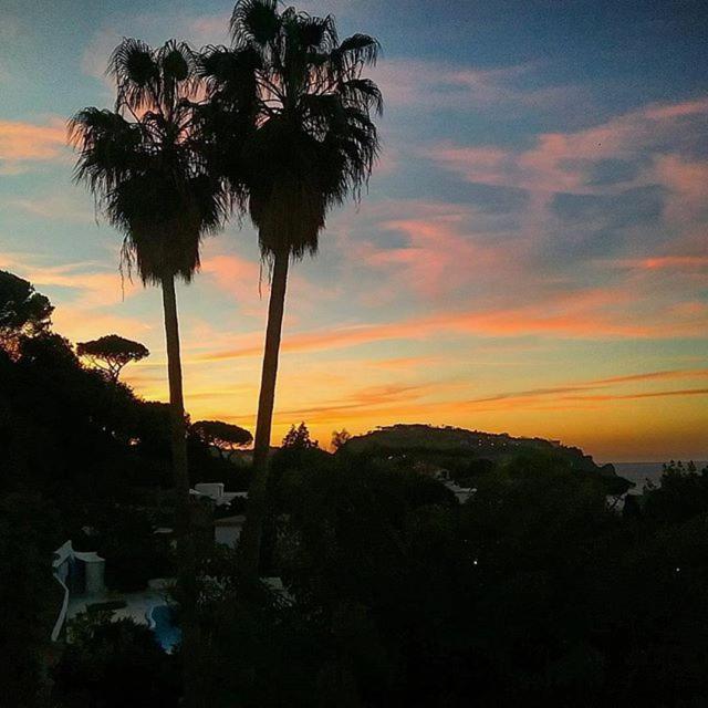 Hotel Parco Conte Casamicciola Terme Bagian luar foto