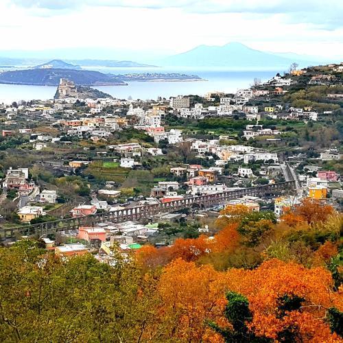 Hotel Parco Conte Casamicciola Terme Bagian luar foto
