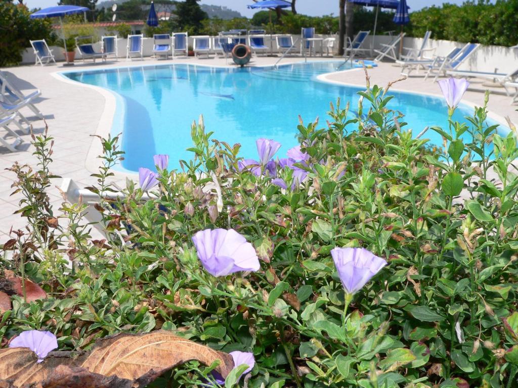 Hotel Parco Conte Casamicciola Terme Bagian luar foto